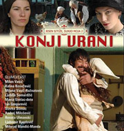 Konji vrani