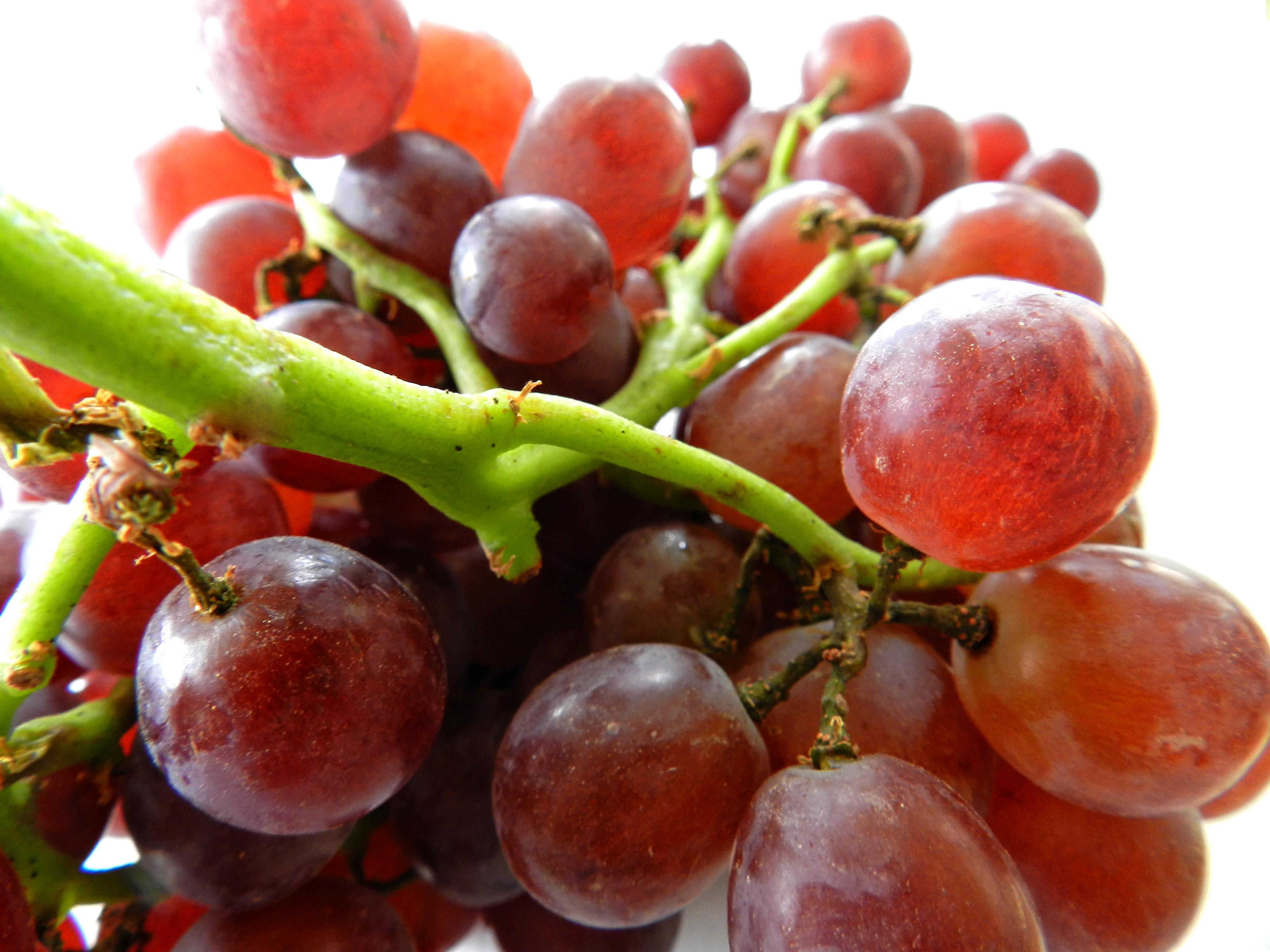 Otkrivamo kako grožđe utiče na krvni pritisak