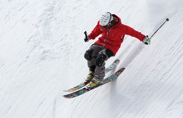 Zimska radost: skijanje (2)