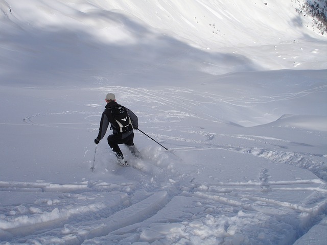 Zimska radost: skijanje (1)