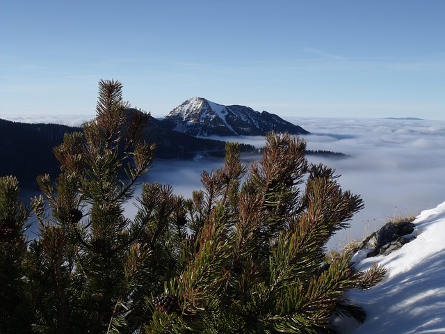 Ski-centri: Slovačka