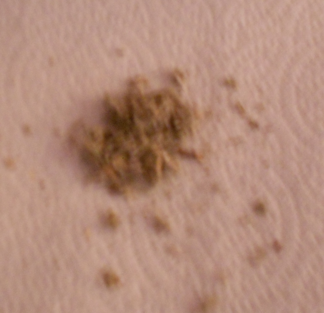 Legalizacija marihuane Legalizacija marihuane