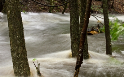 Poplave i posttraumatski poremećaj