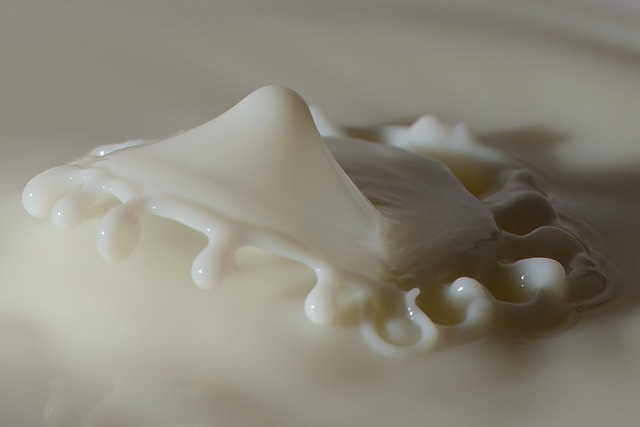 Brzo i lako – napravite sami domaći jogurt