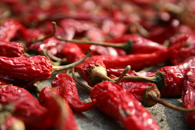 Salata od testenine i pečenih paprika