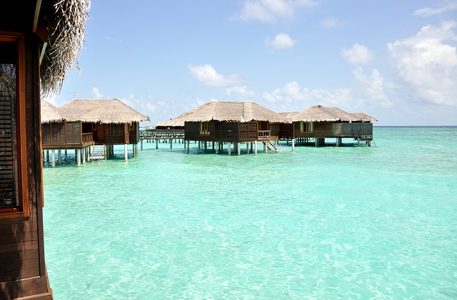 Maldivi (1)