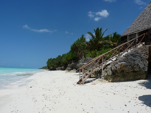 Zanzibar – ostrvo karanfilića