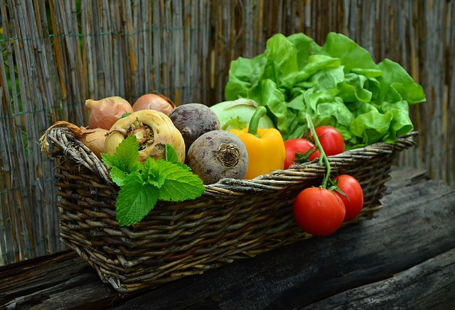 Šarena salata od povrća