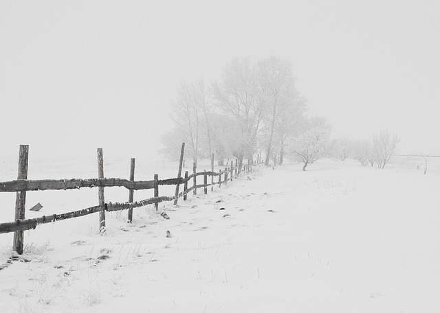 Skroz ludo vreme: Snežna mećava, a onda – temperaturni šok