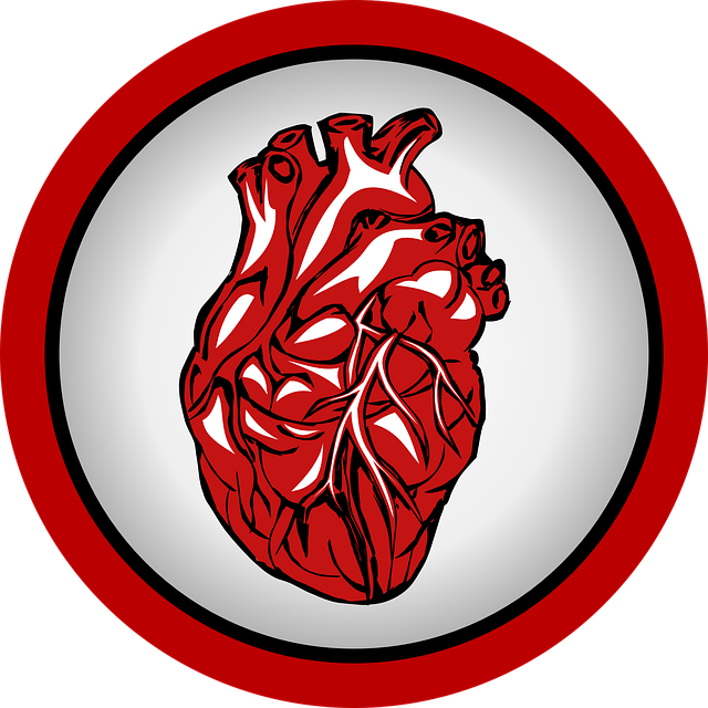 Manifestacija povodom Svetskog dana srca: Dnevno 47 osoba doživi infarkt, ključna prevencija