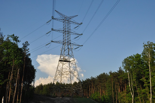 Kopač: Srbija je prva uvela energetski paket Evropske unije