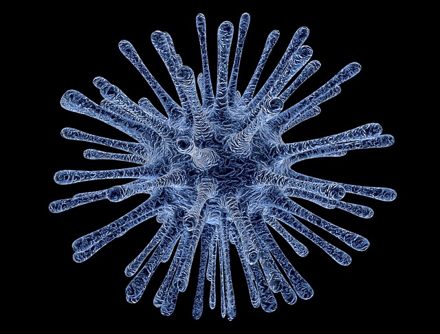Dvoje Srba zaraženo koronavirusom
