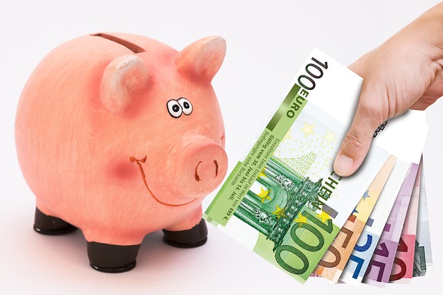 Uštedite 1.500 evra za godinu dana, a da i ne osetite