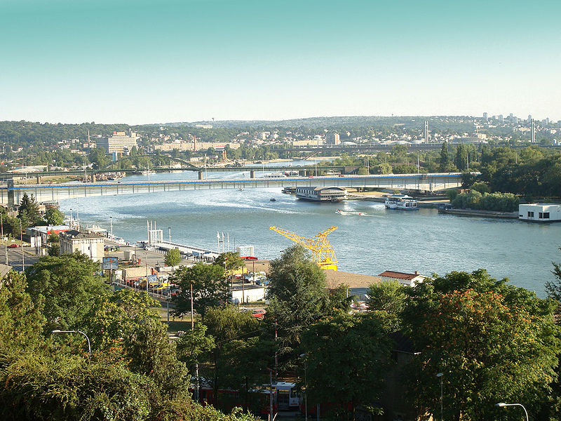 Neidentifikovani muškarac skočio sa Brankovog mosta