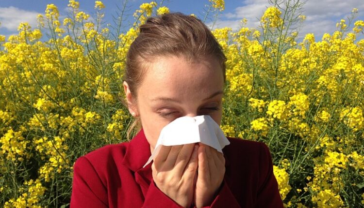 Spas ovog proleća: Recept za najmoćniji prirodni napitak protiv alergije