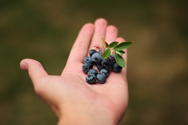 Dokazano štiti od sijaset bolesti: Da li je ovo najzdravije voće na svetu?