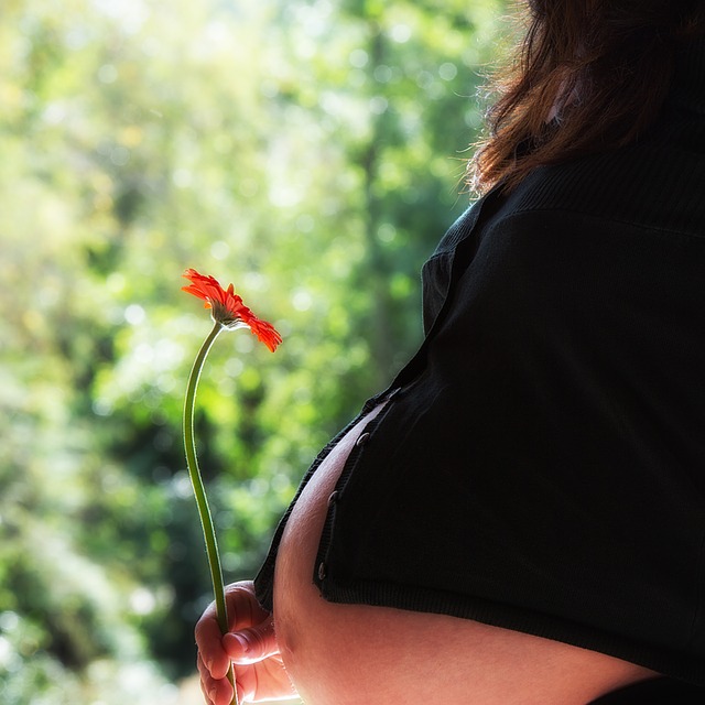 5 namirnica koje povećavaju plodnost žena