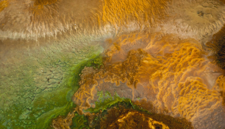 Otkrivamo zašto stranci istražuju minerale po Srbiji Otkrivamo zašto stranci istražuju minerale po Srbiji
