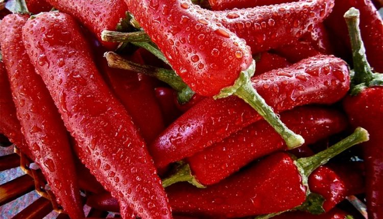 Nemojte da bacate peteljke od paprika: Čuvaćete ih kao oči u glavi kada čujete koliko su korisne Nemojte da bacate peteljke od paprika: Čuvaćete ih kao oči u glavi kada čujete koliko su korisne