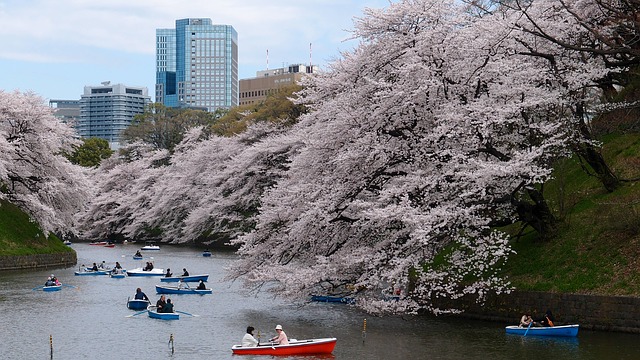 Tajfun Talim pogodio Japan, obustavljeno na stotine letova