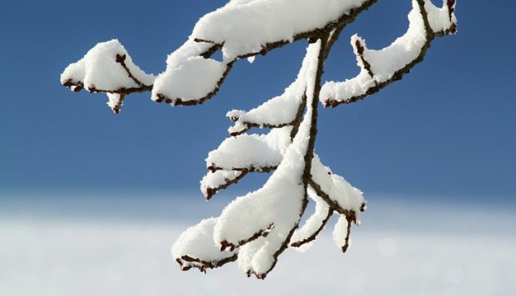 Vremenska prognoza za januar i februar