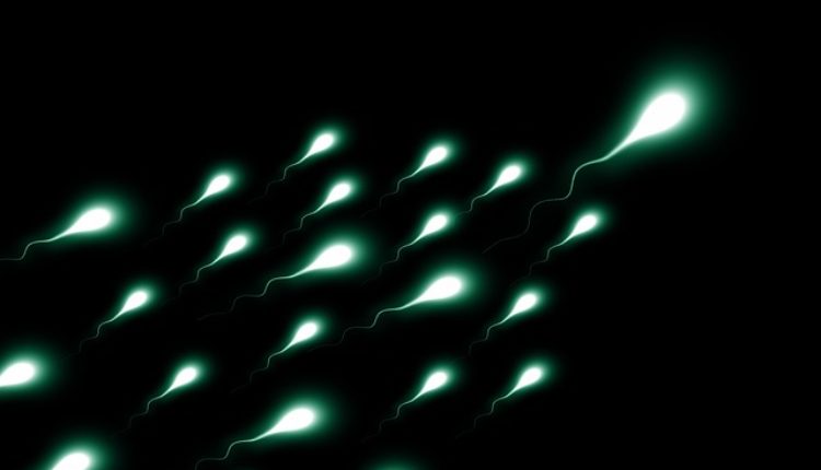 Velika krađa sperme – muškarci nisu znali da su donori