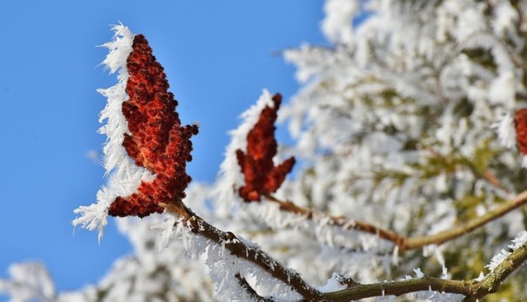 Stiže nam zima! Za vikend upaljen METEOALARM!