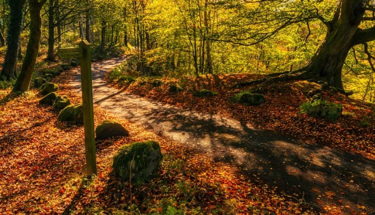 Šaljite fotografije: Otvoren konkurs za nagradu „Andrej Stenjin“