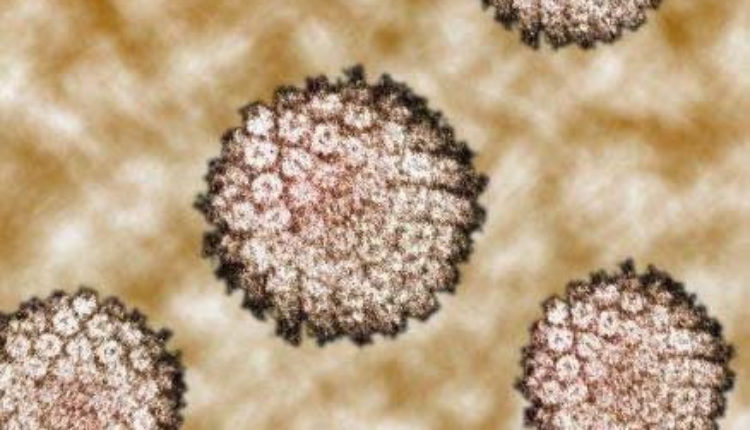 Ma kakve male boginje: Srbijom hara epidemija ove smrtonosne bolesti Ma kakve male boginje: Srbijom hara epidemija ove smrtonosne bolesti