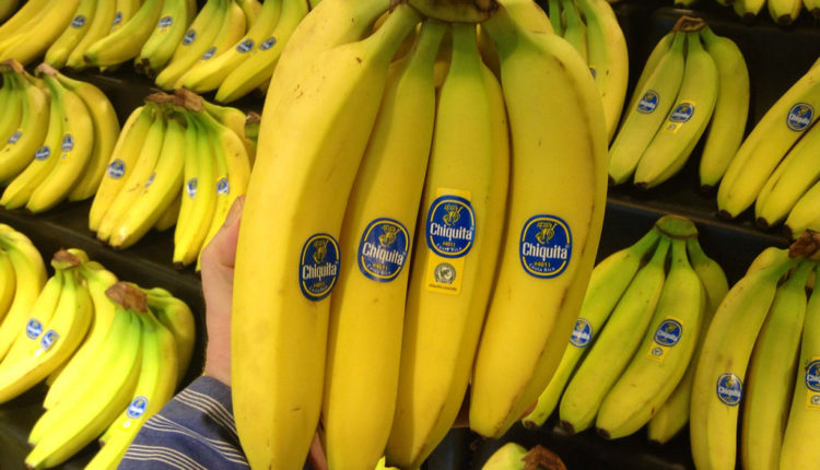 Dijeta jutarnja banana: Uništava 5 kg za nedelju dana Dijeta jutarnja banana: Uništava 5 kg za nedelju dana