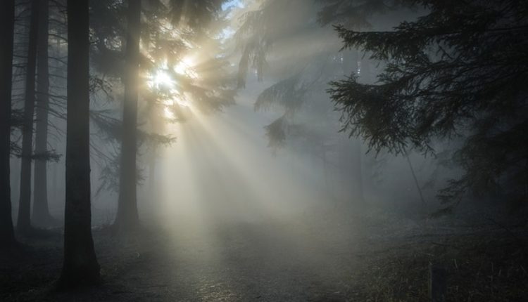 Nedeljni horoskop (11-17. 12. 2017. godine) Nedeljni horoskop (11-17. 12. 2017. godine)