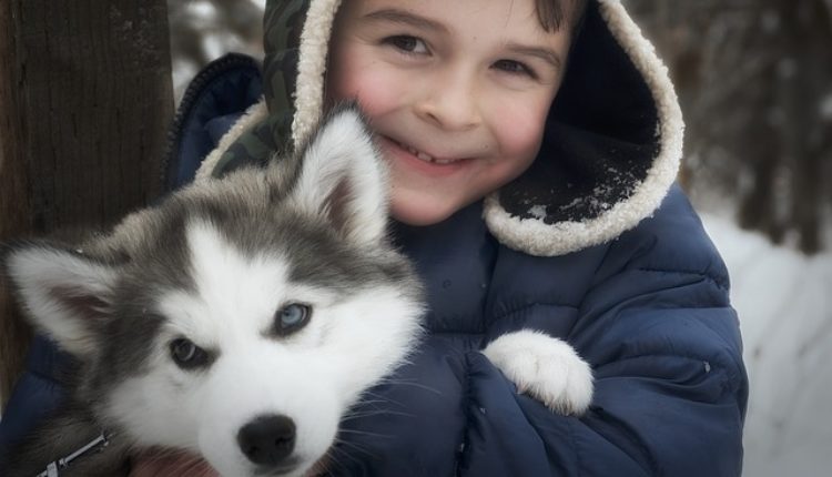 4 najdruželjubivije rase pasa, 1 ćete posebno obožavati