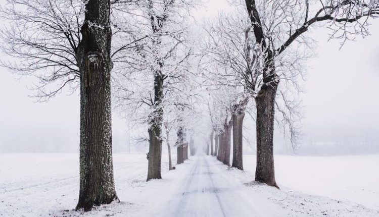 Upaljen crveni meteoalarm za ovaj deo Srbije (foto)