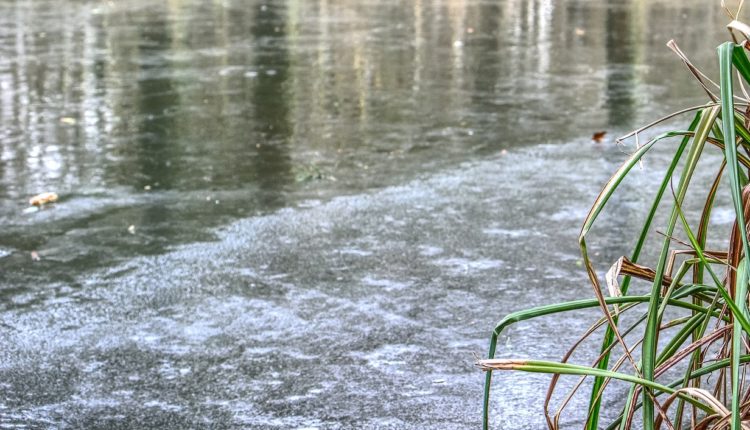 Izlila se Zapadna Morava: Poplavljeno 200 hektara kod Požege