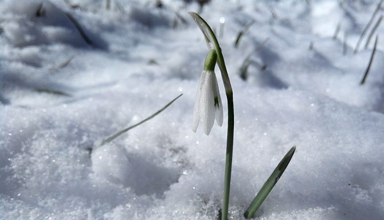 Iznenađenje: Ovde se u ponedeljak očekuje i sneg na planinama