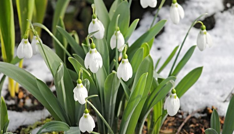 Nedeljni horoskop (26. 3. 2018 – 1. 4. 2018. godine) Nedeljni horoskop (26. 3. 2018 – 1. 4. 2018. godine)
