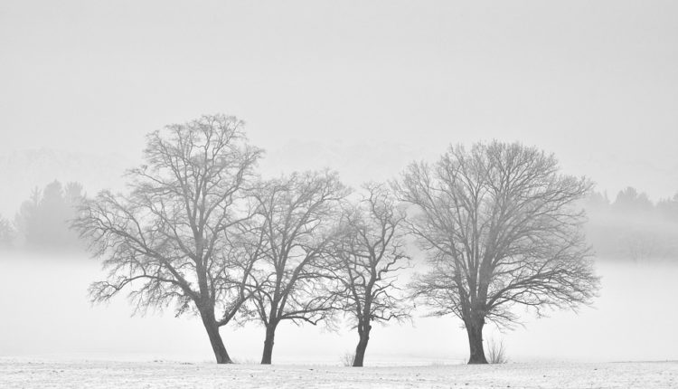 Šta se dogodilo na Zemlji kada se pre 1.500 godina spustila misteriozna magla