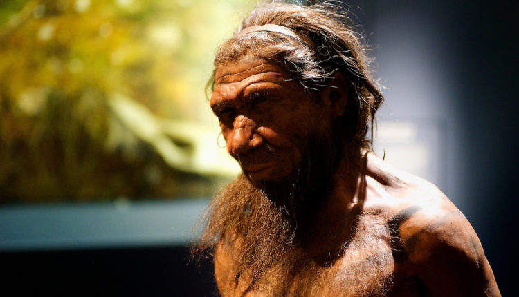 Novo otkriće: Neandertalci su izgledali sasvim drugačije nego što smo mislili