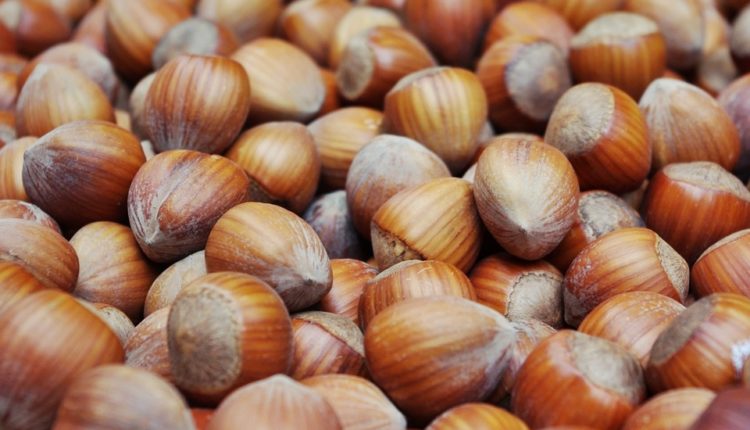 Šok iz Ferera – srpski lešnici neće moći u Nutelu Šok iz Ferera – srpski lešnici neće moći u Nutelu