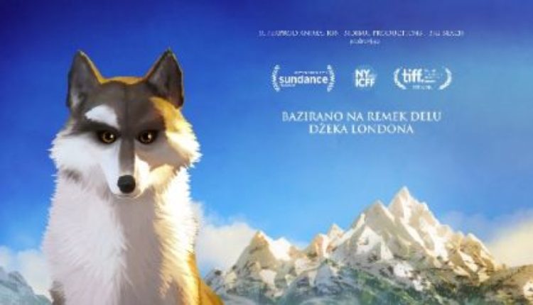 Beli očnjak (video) Beli očnjak (video)