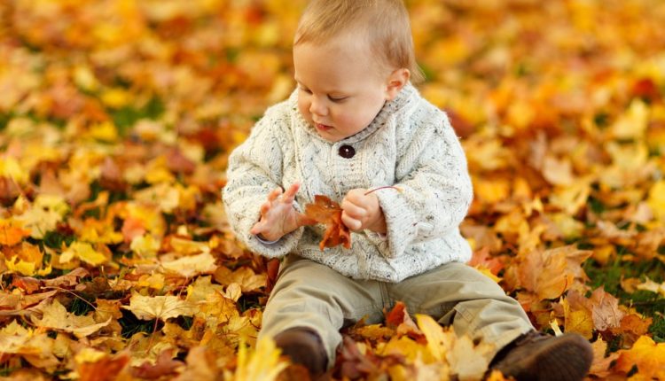 Veliki MESEČNI horoskop za novembar 2019.