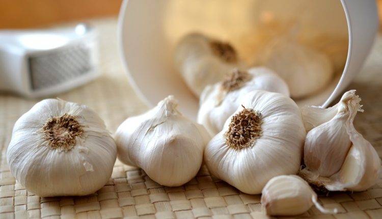 Beli luk obožavaju mnogi, ali ovi ljudi ne bi smeli da ga jedu Beli luk obožavaju mnogi, ali ovi ljudi ne bi smeli da ga jedu