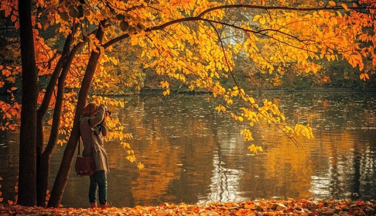 Veliki nedeljni horoskop (od 12. do 19. novembra 2018) Veliki nedeljni horoskop (od 12. do 19. novembra 2018)