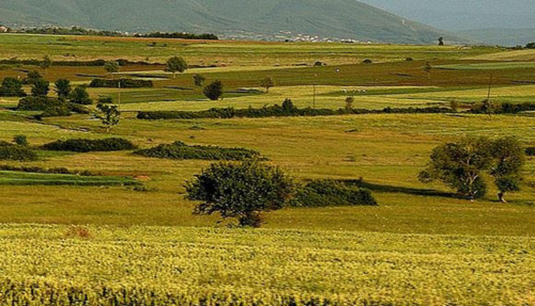 „Gde god su SAD bile, Kosovu je uvek dobro išlo“