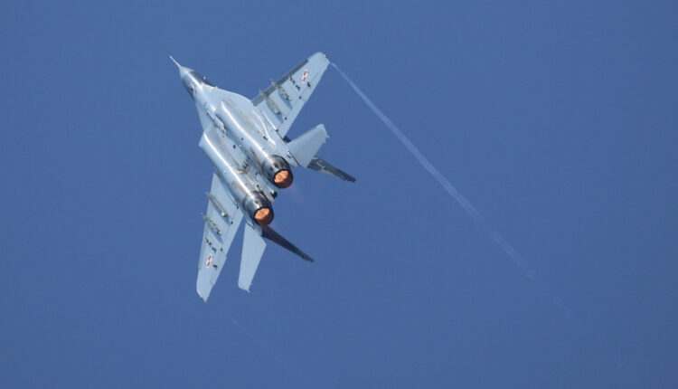 MiG-29 oborilo jato ptica Mig 29