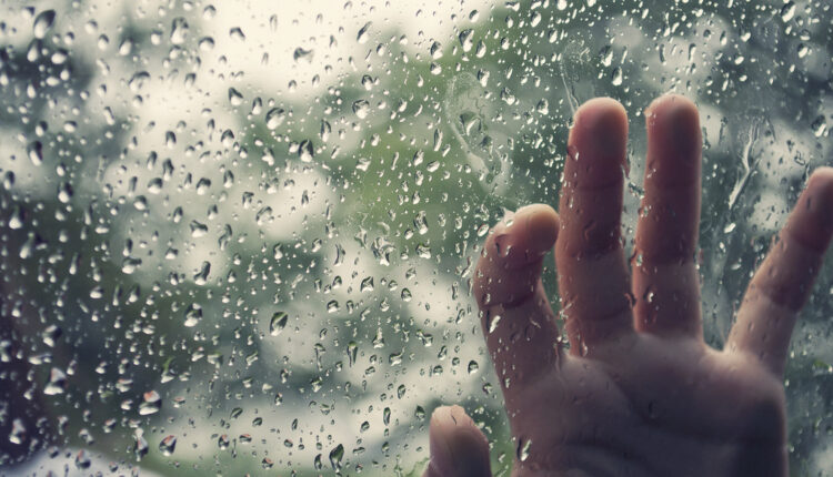 Srbi mahnito hrle u ovu zemlju ne sluteći da u njoj moraju da rade dodatne teške poslove Srbi mahnito hrle u ovu zemlju ne sluteći da u njoj moraju da rade dodatne teške poslove