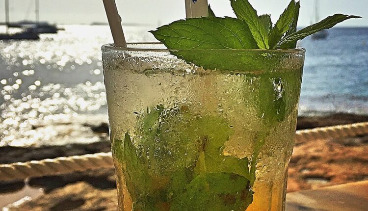 Alkohol čuva zdravlje i produžava život!? Alkohol čuva zdravlje i produžava život!?