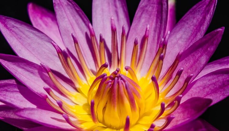 Veliki NEDELJNI horoskop (od 8. do 15. aprila 2019) Veliki NEDELJNI horoskop (od 8. do 15. aprila 2019)