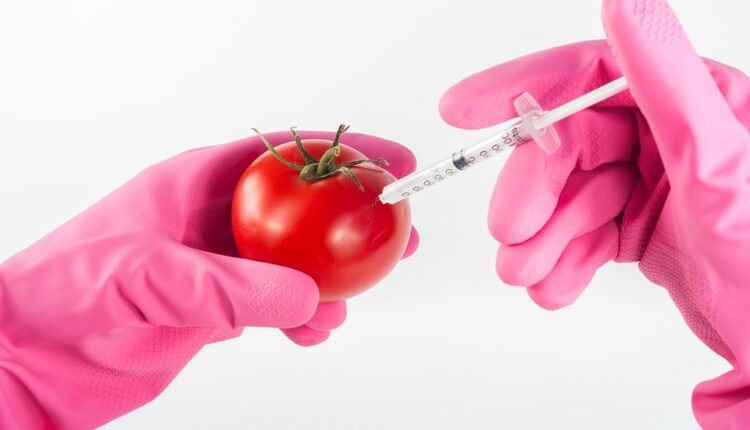 Nije GMO: Zašto paradajz koji kupujemo u prodavnicama nema ukus Nije GMO: Zašto paradajz koji kupujemo u prodavnicama nema ukus