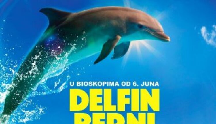 Delfin Berni (video) Delfin Berni (video)